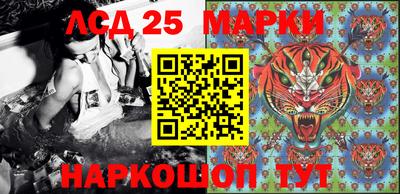 скорость Заводоуковск