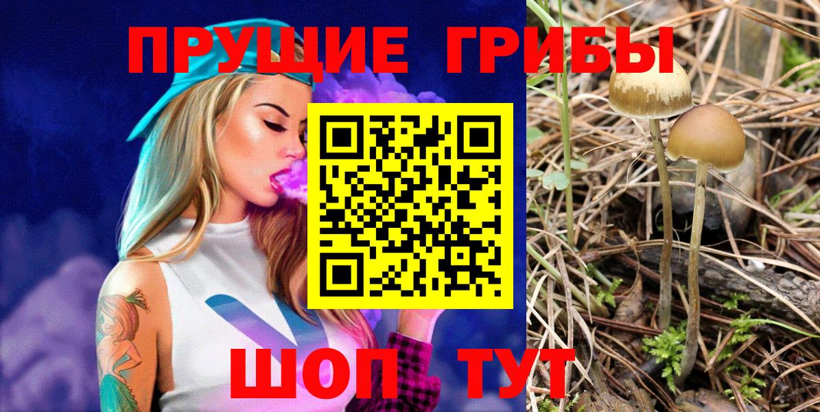 Междуреченск  купить наркотик  Вход с VPN  Псилоцибиновые грибы Psilocybine cubensis 
